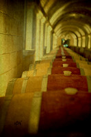 36x48 Wine Barrels - 2010