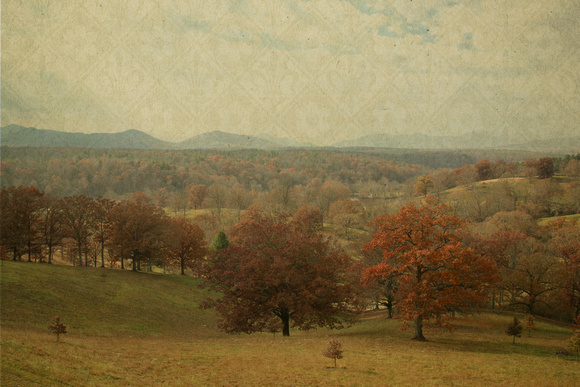 The Foothills in Autumn