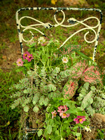 Iron Chair Flower Pot