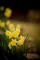 Welcome to Spring - 2011
